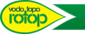 Primary Raster logo